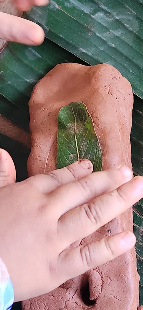 Crianças investigando elemento natural com as mãos